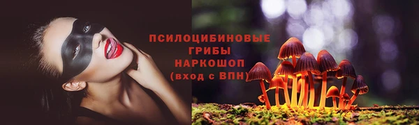 винт Абаза