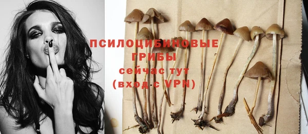 винт Корсаков