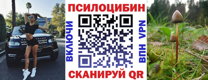 цена   Алапаевск  Псилоцибиновые грибы Magic Shrooms 